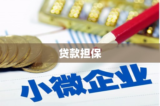 临翔贷款担保