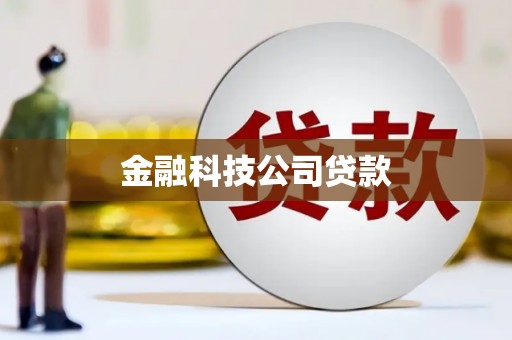 嘉模堂区金融科技公司贷款