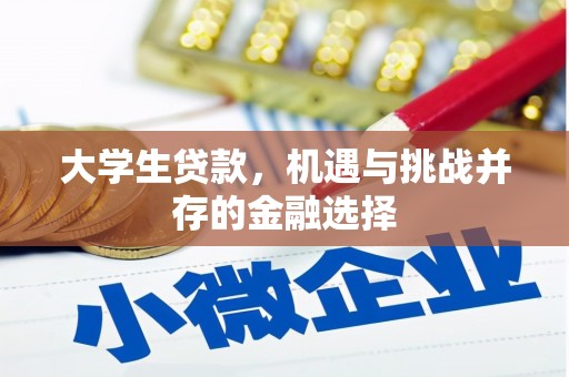 两江新区大学生贷款，机遇与挑战并存的金融选择