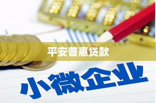 海东平安普惠贷款