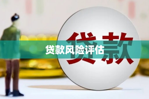 南陵贷款风险评估
