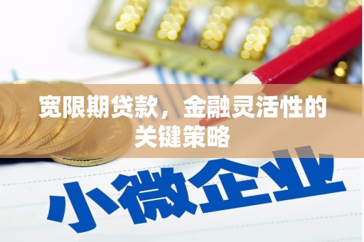 通辽宽限期贷款，金融灵活性的关键策略