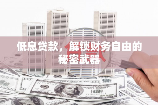 皇姑低息贷款，解锁财务自由的秘密武器