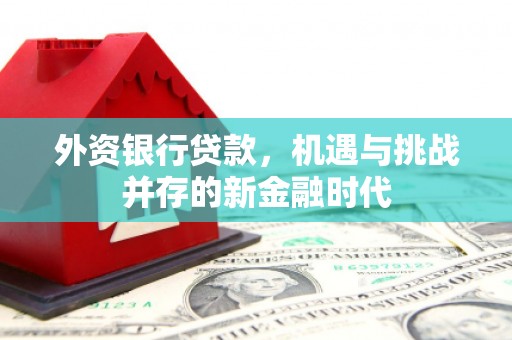 梁平外资银行贷款，机遇与挑战并存的新金融时代