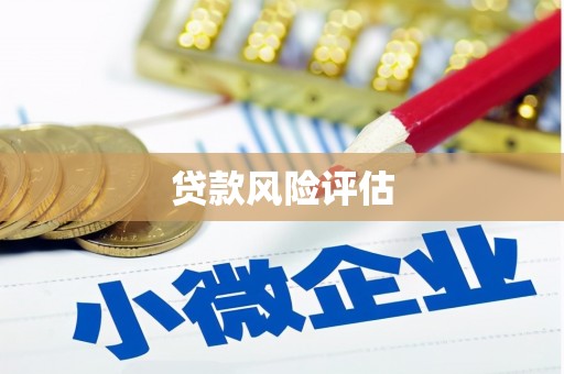 枣阳贷款风险评估