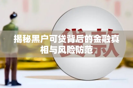 岱岳揭秘黑户可贷背后的金融真相与风险防范
