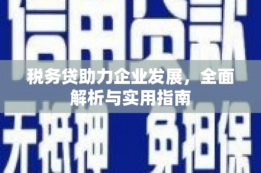 立山税务贷助力企业发展，全面解析与实用指南
