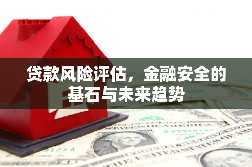 延平贷款风险评估，金融安全的基石与未来趋势