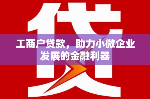 桑日工商户贷款，助力小微企业发展的金融利器