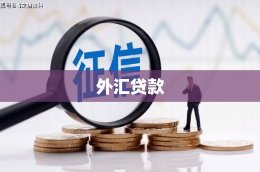 碑林外汇贷款