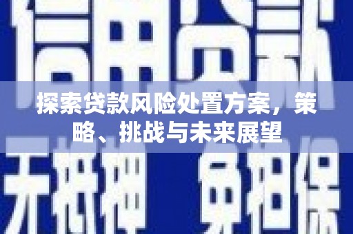 康保探索贷款风险处置方案，策略、挑战与未来展望