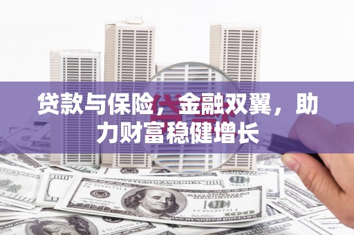港南贷款与保险，金融双翼，助力财富稳健增长