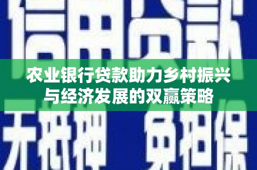 丰县农业银行贷款助力乡村振兴与经济发展的双赢策略