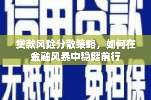 南平贷款风险分散策略，如何在金融风暴中稳健前行