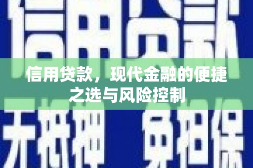 金峰信用贷款，现代金融的便捷之选与风险控制