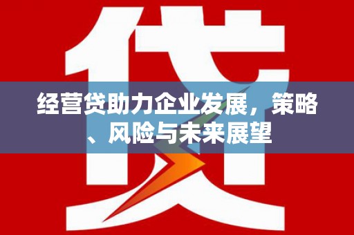 和县经营贷助力企业发展，策略、风险与未来展望