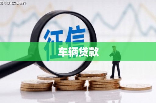 新会车辆贷款