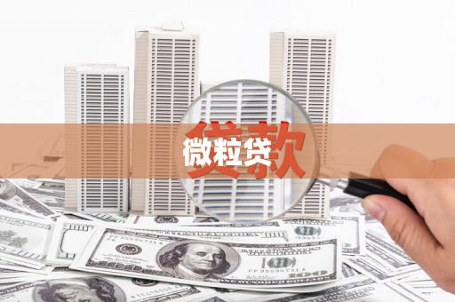 印江微粒贷