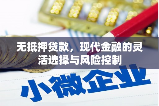 龙游无抵押贷款，现代金融的灵活选择与风险控制