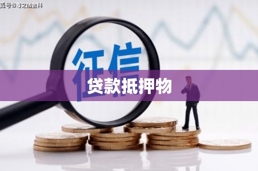 保康贷款抵押物