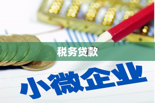 广东税务贷款