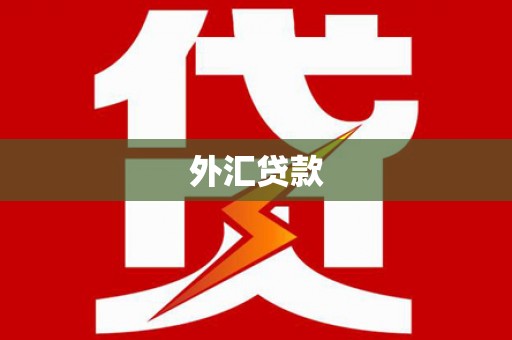 金口河外汇贷款