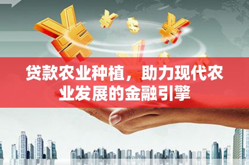 鸡东贷款农业种植，助力现代农业发展的金融引擎