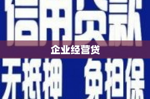 黔东南企业经营贷