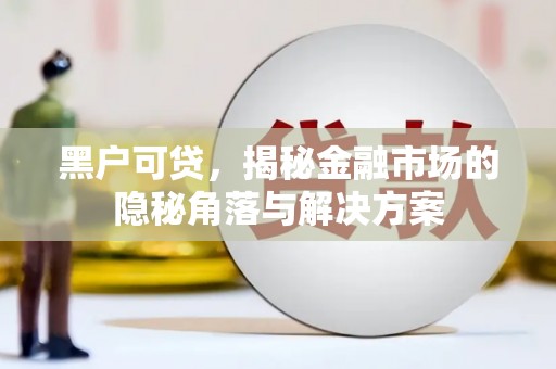 贞丰黑户可贷，揭秘金融市场的隐秘角落与解决方案