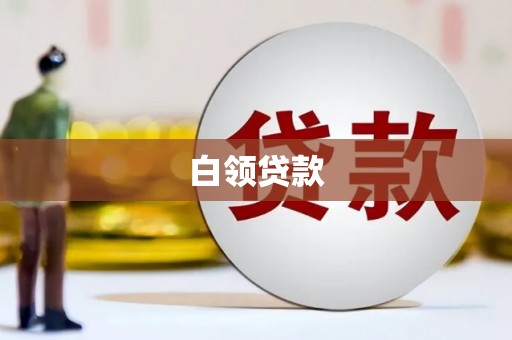 南海白领贷款