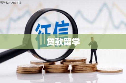 普定贷款留学