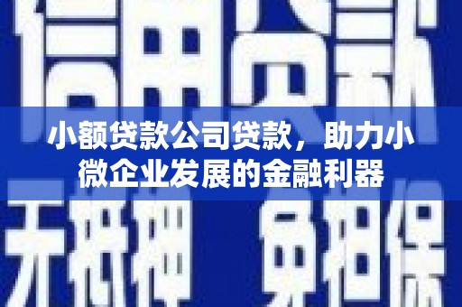 吴桥小额贷款公司贷款，助力小微企业发展的金融利器