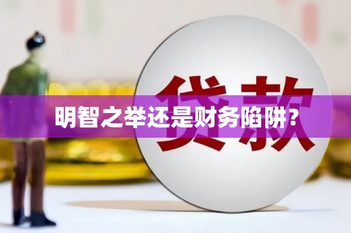 镇原明智之举还是财务陷阱？