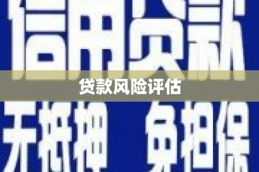 乐亭贷款风险评估