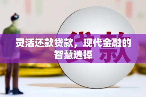 武邑灵活还款贷款，现代金融的智慧选择