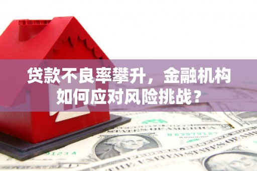 玉环贷款不良率攀升，金融机构如何应对风险挑战？