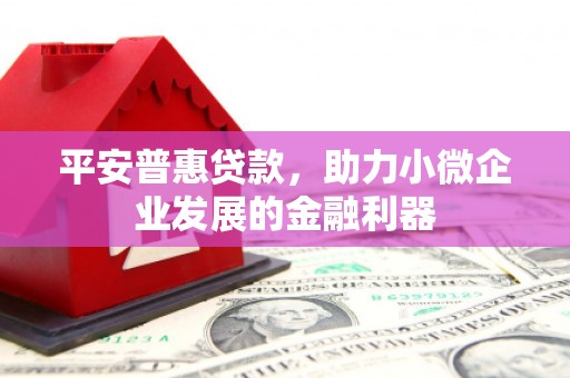 隆子平安普惠贷款，助力小微企业发展的金融利器