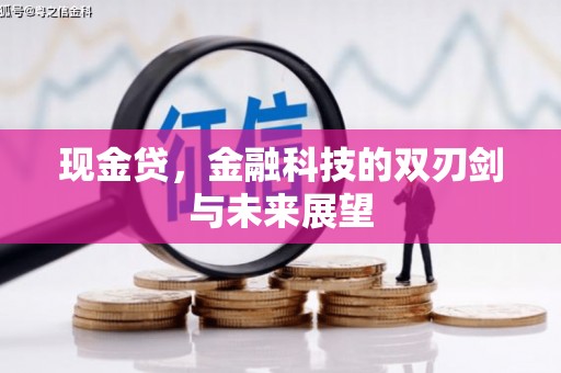 文登现金贷，金融科技的双刃剑与未来展望