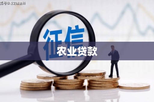 鹤岗农业贷款