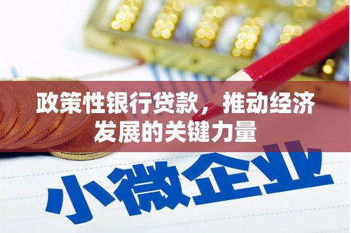 毕节政策性银行贷款，推动经济发展的关键力量