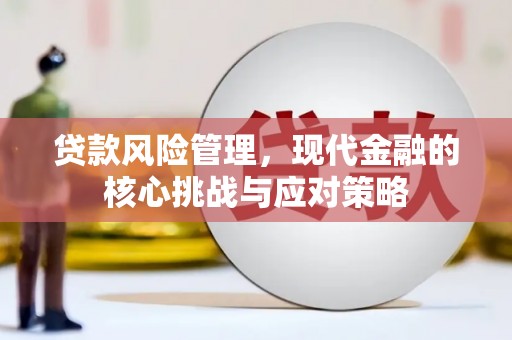 岗巴贷款风险管理，现代金融的核心挑战与应对策略