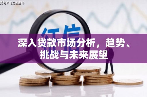 泸水深入贷款市场分析，趋势、挑战与未来展望