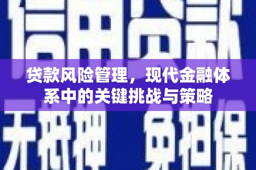 长顺贷款风险管理，现代金融体系中的关键挑战与策略