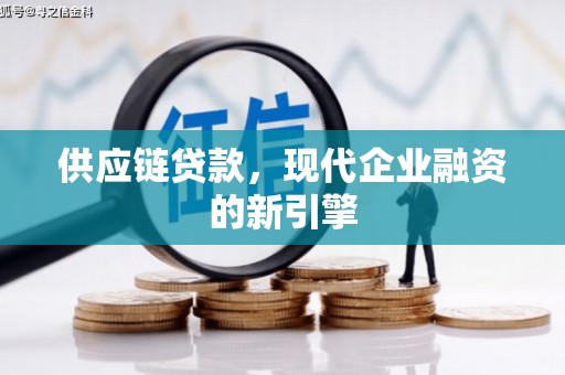 平南供应链贷款，现代企业融资的新引擎