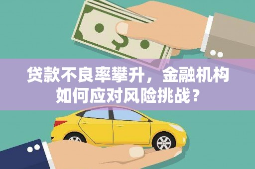 合浦贷款不良率攀升，金融机构如何应对风险挑战？