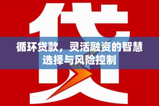 武江循环贷款，灵活融资的智慧选择与风险控制