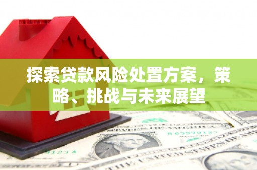 乌恰探索贷款风险处置方案，策略、挑战与未来展望