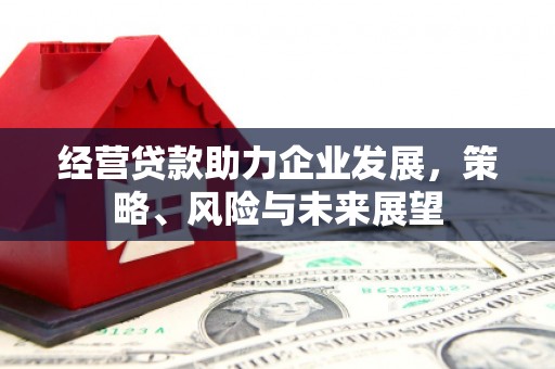 柳营经营贷款助力企业发展，策略、风险与未来展望