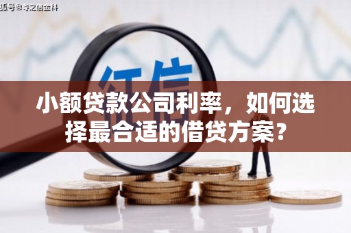 云浮小额贷款公司利率，如何选择最合适的借贷方案？