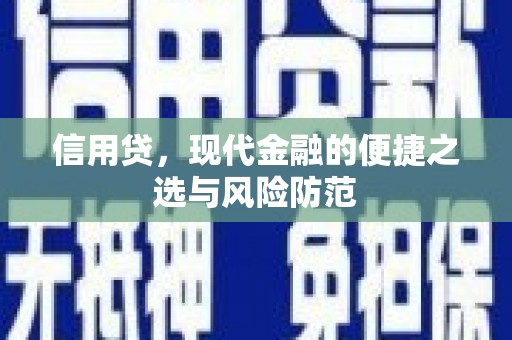 原阳信用贷，现代金融的便捷之选与风险防范